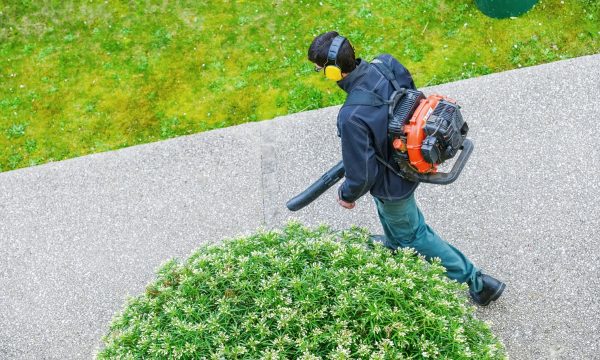 8830408-gardener-using-a-gas-blower-in-a-park