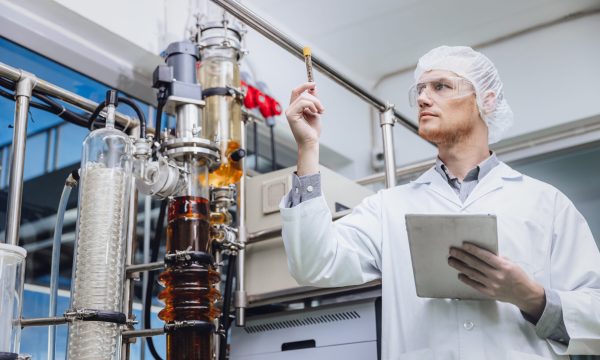 Scientist working with Equipment in Science Lab. Medical factory staff Cannabis CBD oil extraction. Hemp oil Thin Film Distillation Plants Process.